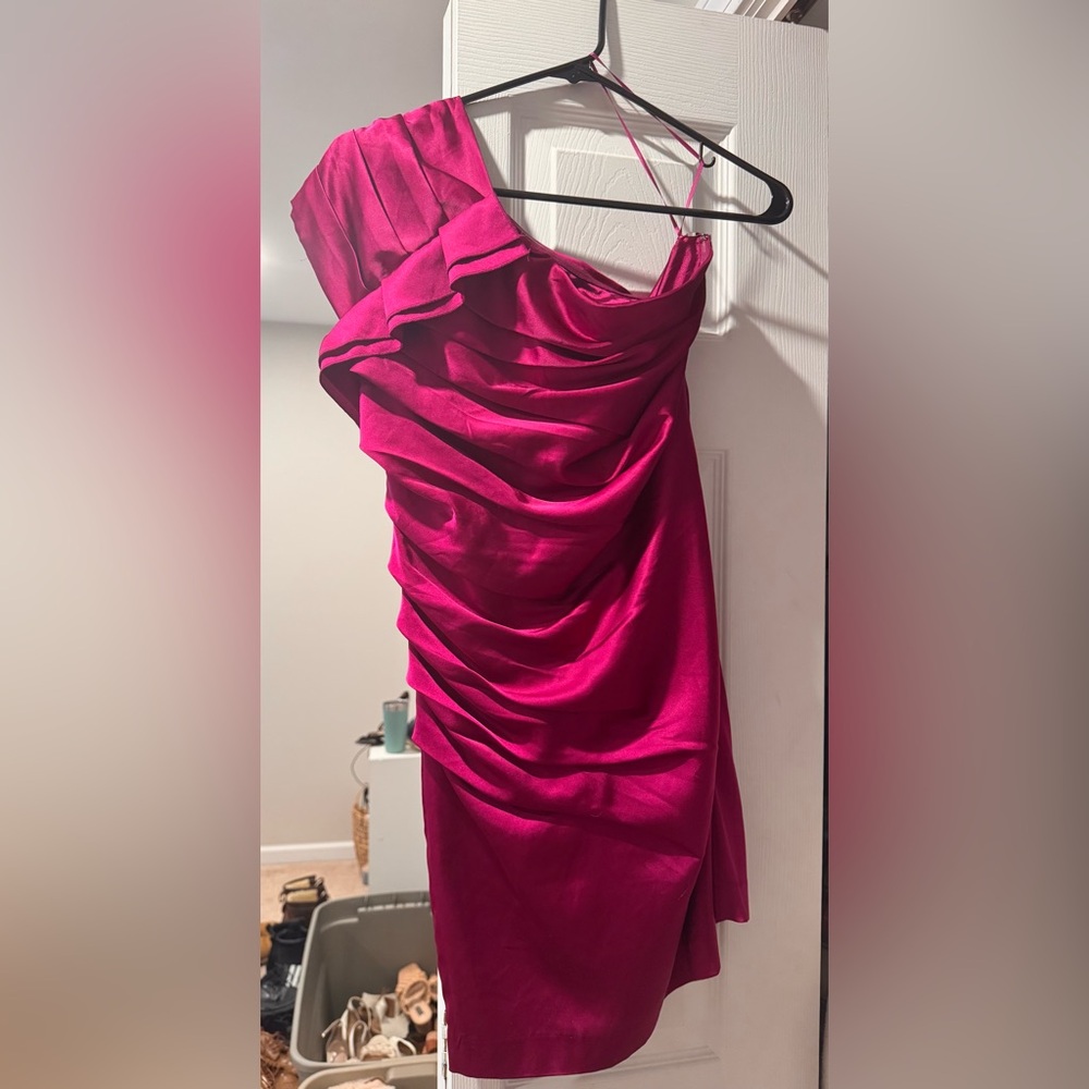 Express One Shoulder Fuchsia Dress